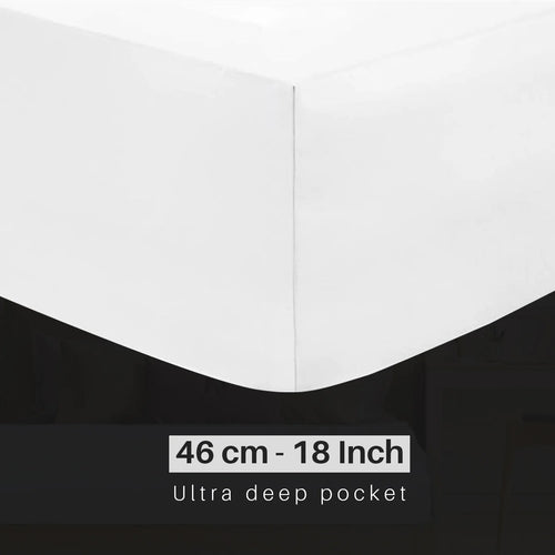 Night Zone 800 Thread Count 100% Egyptian Cotton Fitted Sheet - 16" Extra Deep Pocket - Solid