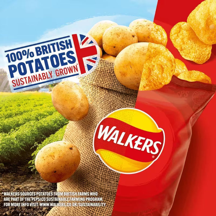 Giant Crisps Multipack Box 66 x 25g Assorted Walkers Pack – DTEX HOMES
